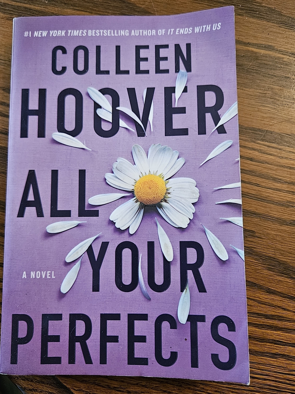 All Your Perfects - Purple Paperback Novel